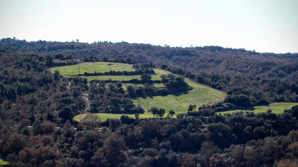 27 de Desembre de 2015 sembrats  Lloberola -  Ramon Sunyer