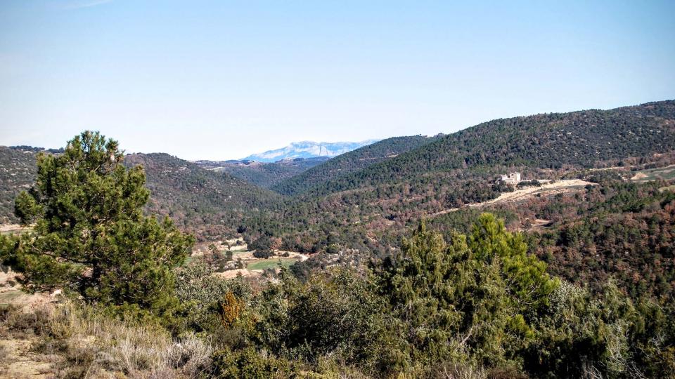 27 de Desembre de 2015 La Ribereta  Lloberola -  Ramon Sunyer