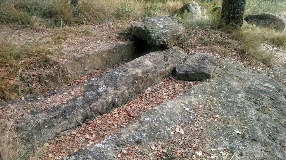 1 de Gener de 2016 Clot dels Nens Xics  Vallferosa -  Ramon Sunyer