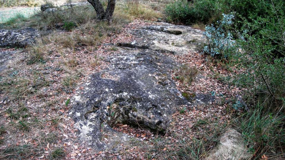 1 de Gener de 2016 Clot dels Nens Xics  Vallferosa -  Ramon Sunyer