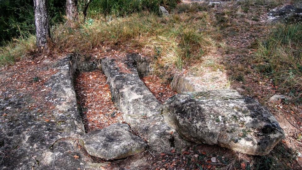 1 de Gener de 2016 Clot dels Nens Xics  Vallferosa -  Ramon Sunyer