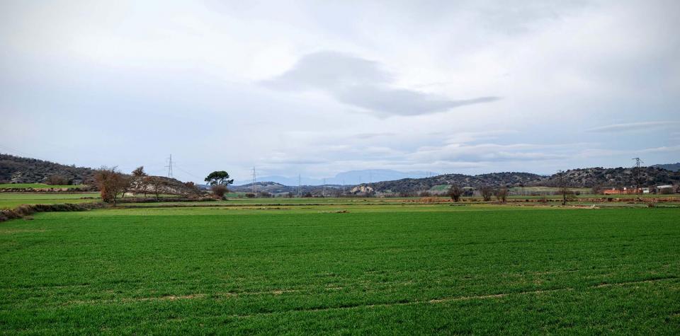 3 de Gener de 2016 Torrovelles  Torà -  Ramon Sunyer