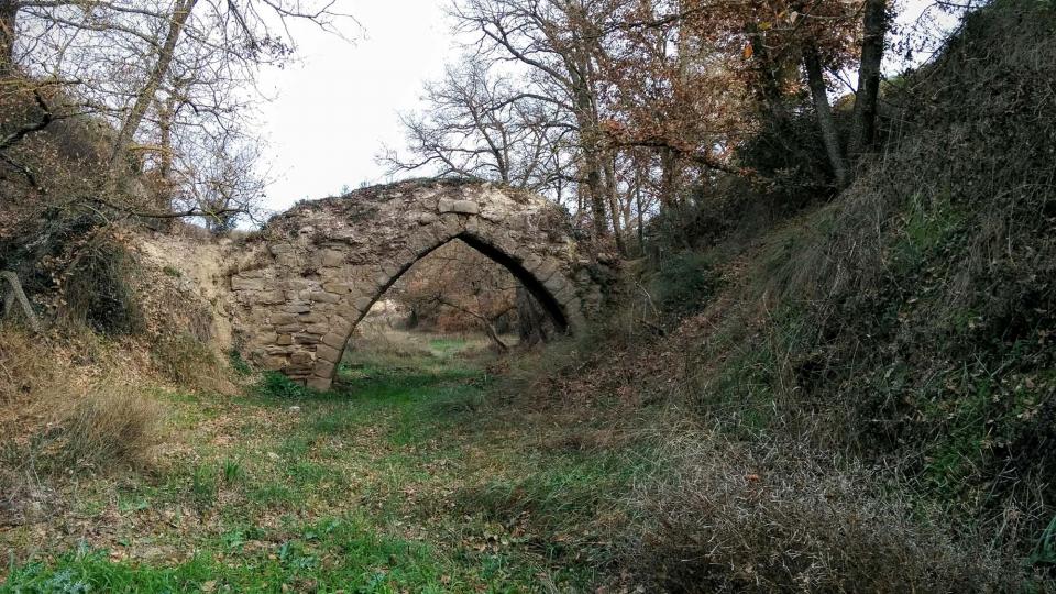 3 de Gener de 2016 Pontet del Diable o de la Sentiu  Torà -  Ramon Sunyer