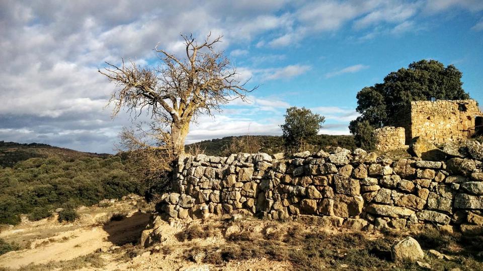 10 de Gener de 2016 paisatge  Vallferosa -  Ramon Sunyer
