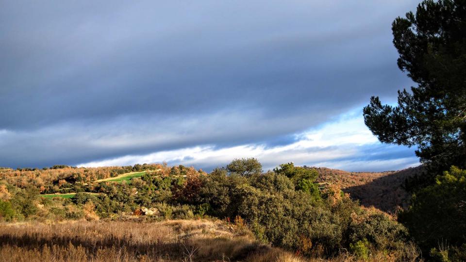 10 de Gener de 2016 paisatge  Vallferosa -  Ramon Sunyer