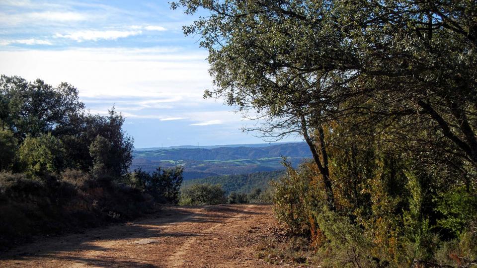 10 de Gener de 2016 paisatge  Vallferosa -  Ramon Sunyer