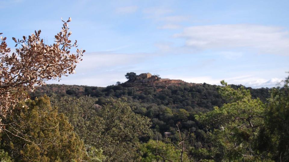 10 de Gener de 2016 paisatge  Vallferosa -  Ramon Sunyer