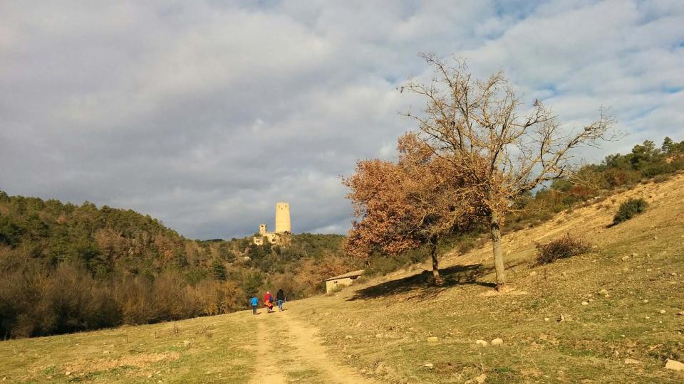 10.1.2016 caminant cap a la torre  Vallferosa -  Ramon Sunyer