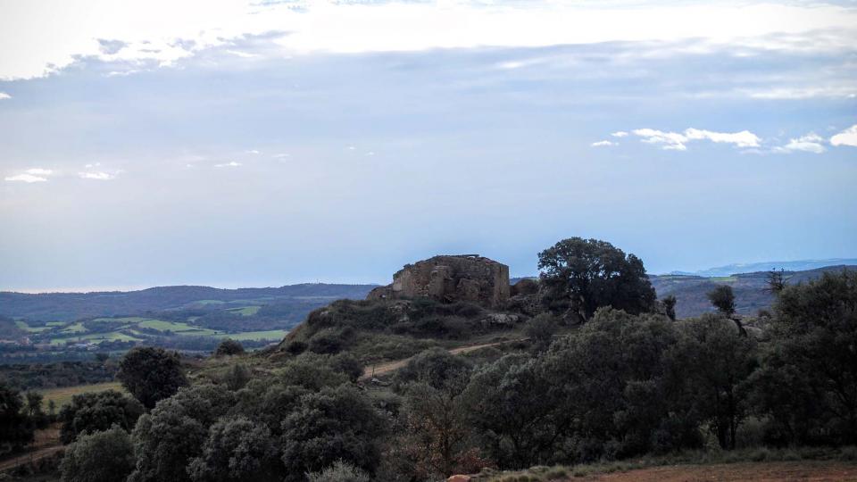 10 de Gener de 2016 Cal Trena  Vallferosa -  Ramon Sunyer