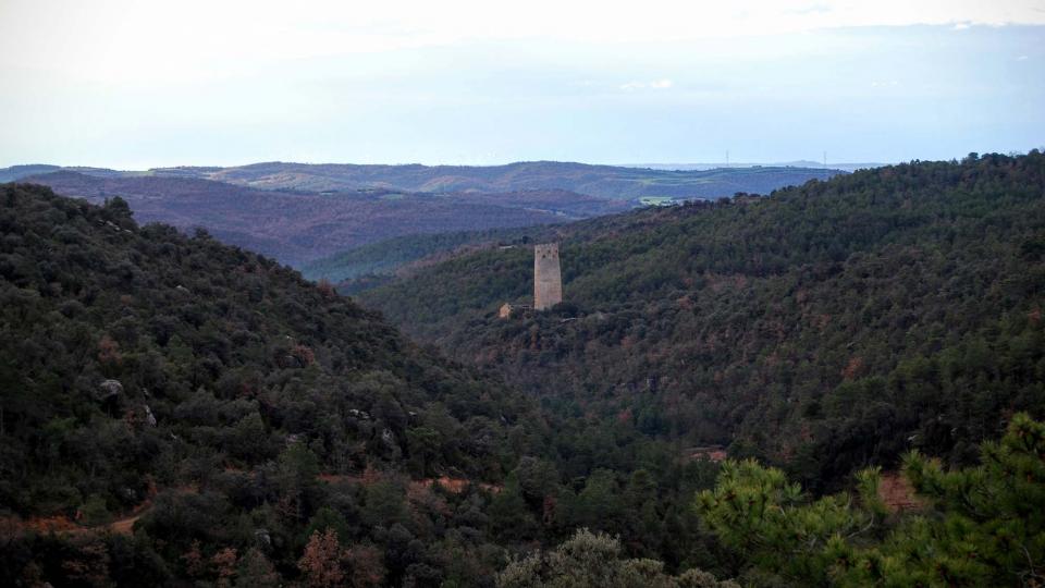 10 de Gener de 2016 la torre entre boscos  Vallferosa -  Ramon Sunyer