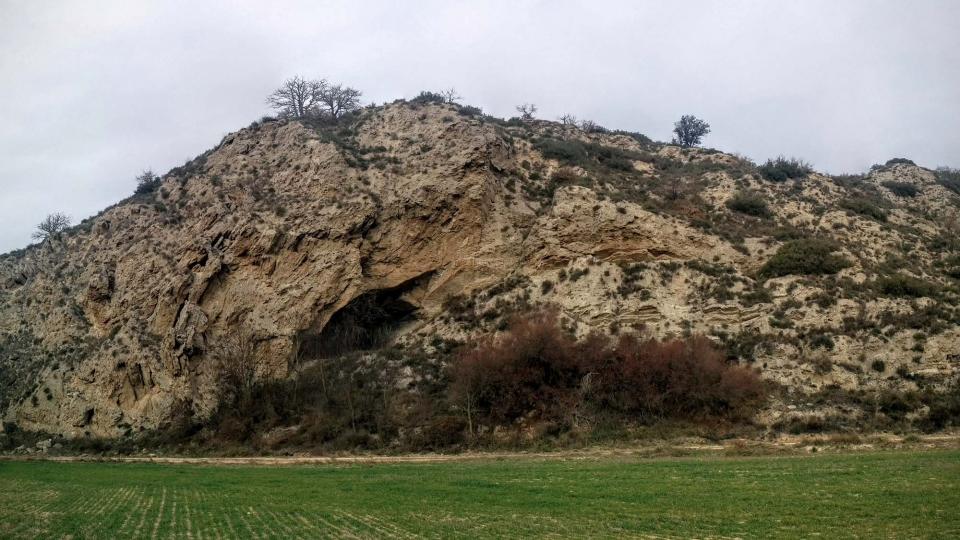 31 de Gener de 2016 Forat del Micó  Biosca -  Ramon Sunyer