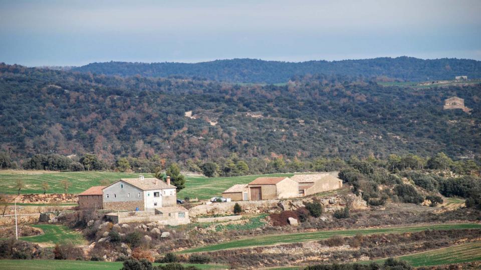 1 de Gener de 2016 Marquilles  Vallferosa -  Ramon Sunyer