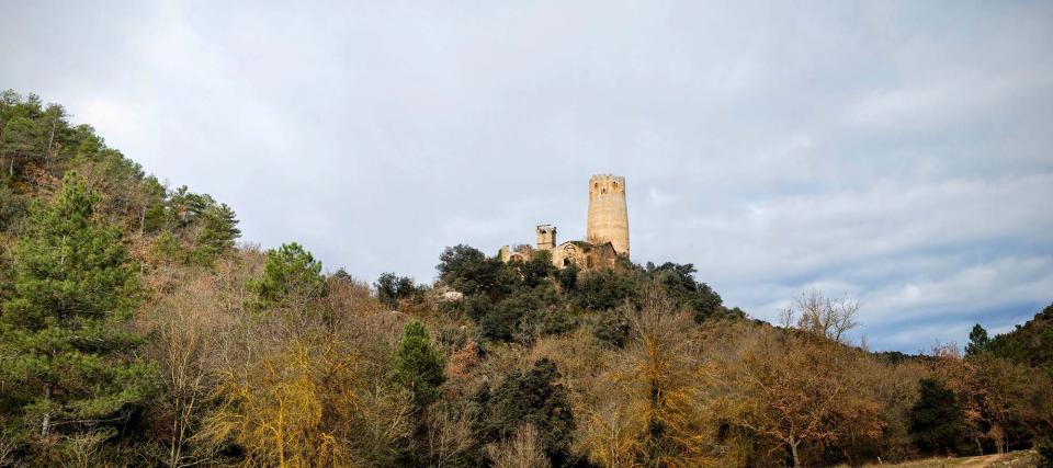 10 de Gener de 2016 vista de la torre des de la vall  Vallferosa -  Ramon Sunyer