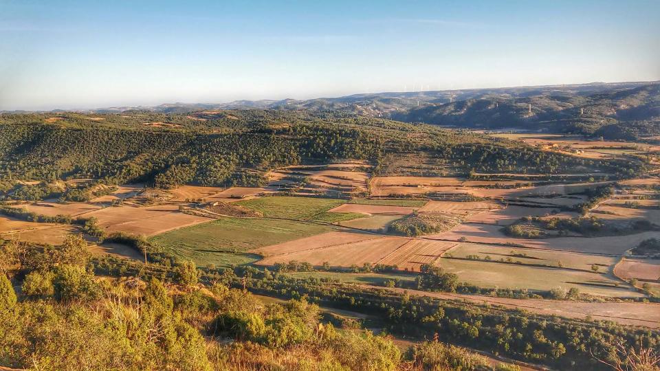 2.9.2014 La vall de Cellers des de sant Donat  Torà -  Ramon Sunyer