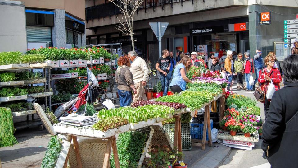 25.3.2016   Torà -  Ramon Sunyer