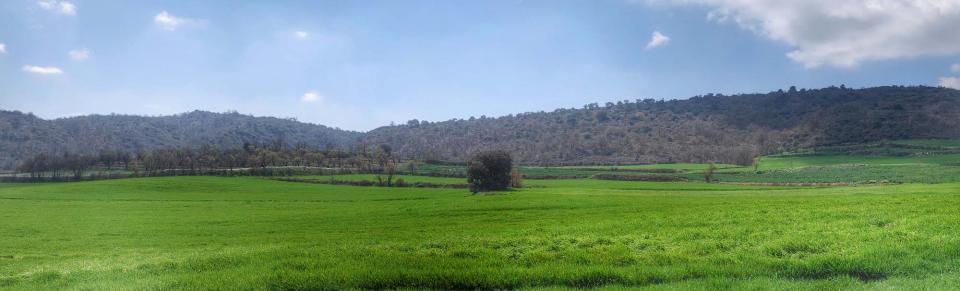 27 de Març de 2016 Les Torrovelles  Torà -  Ramon Sunyer