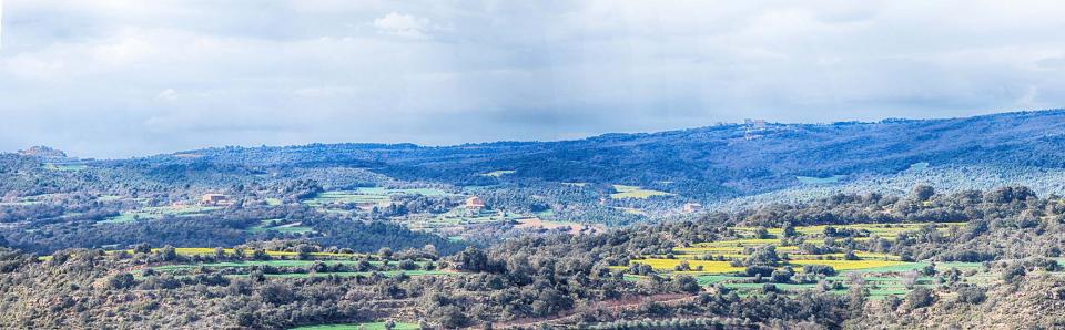 10 de Abril de 2016   Vallferosa -  Ramon Sunyer