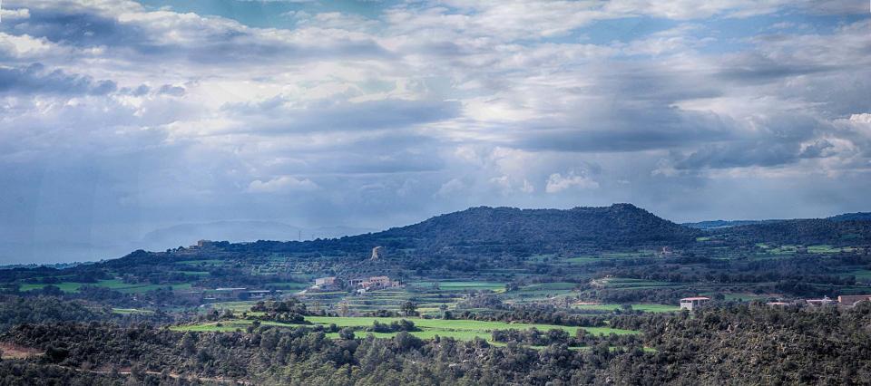 10 de Abril de 2016   Puigredon -  Ramon Sunyer