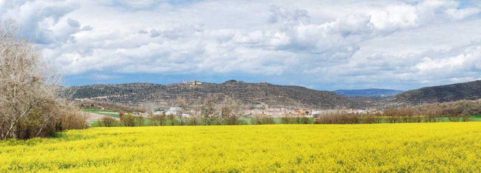 10 de Abril de 2016   Torà -  Ramon Sunyer