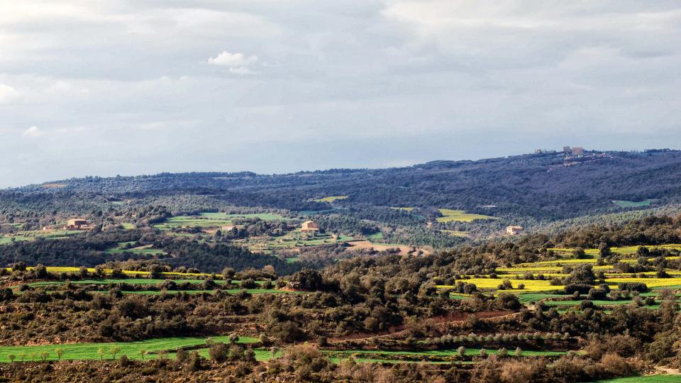 10 de Abril de 2016   Vallferosa -  Ramon Sunyer