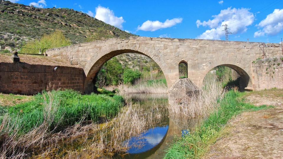 24 de Abril de 2016 Pont de les merites  Torà -  Ramon Sunyer