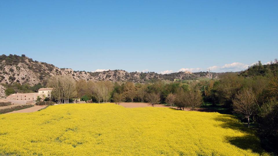 24 de Abril de 2016 Torres del Riu  Puig-Arner -  Ramon Sunyer