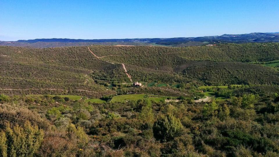 1 de Maig de 2016 Els bosc es recupera a l'entorn del monestir  Cellers -  Ramon Sunyer