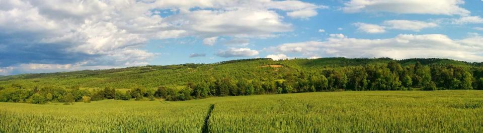 15 de Maig de 2016 serra de castelltallat  Prades de la Molsosa -  Ramon Sunyer