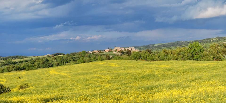 15 de Maig de 2016   Prades de la Molsosa -  Ramon Sunyer