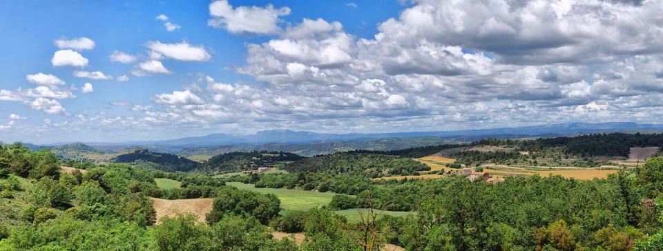 29 de Maig de 2016   Calonge de Segarra -  Ramon Sunyer