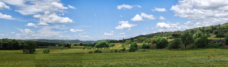 29 de Maig de 2016   Calonge de Segarra -  Ramon Sunyer