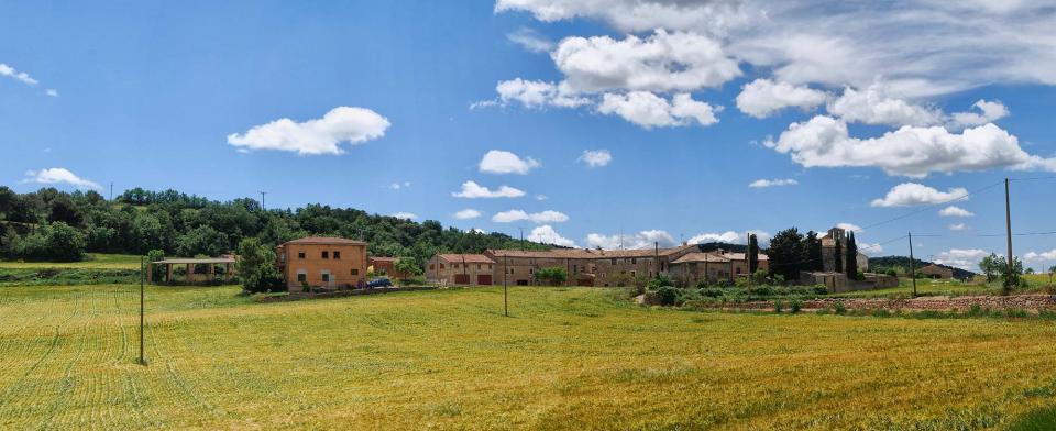 29.5.2016 paisatge  Sant Pere de l'Arç -  Ramon Sunyer