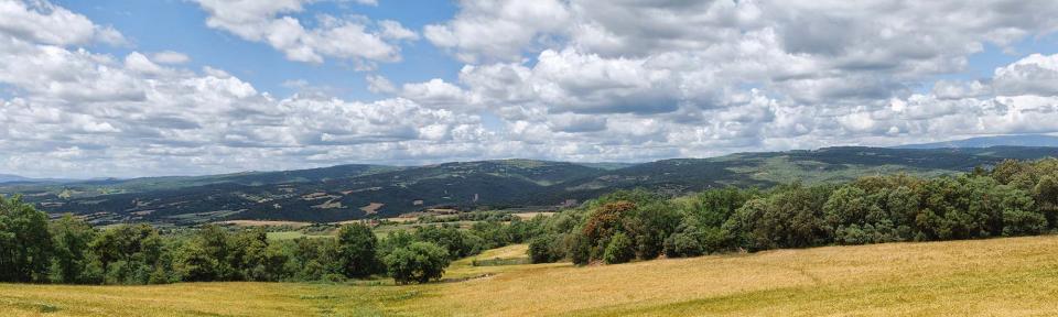 29 de Maig de 2016   Sant Serni -  Ramon Sunyer