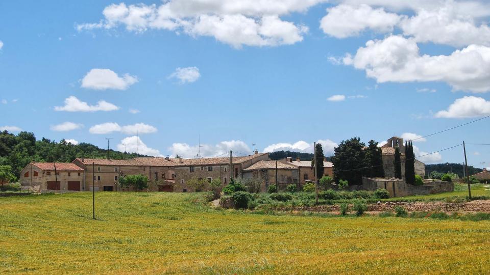 29.5.2016   Sant Pere de l'Arç -  Ramon Sunyer