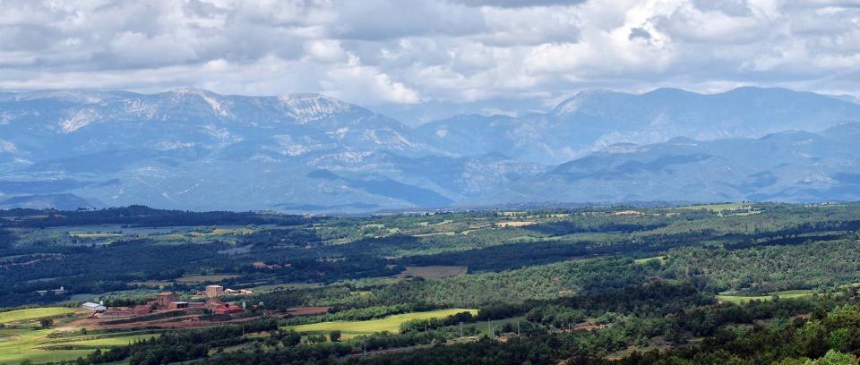 29 de Maig de 2016   Ardèvol -  Ramon Sunyer