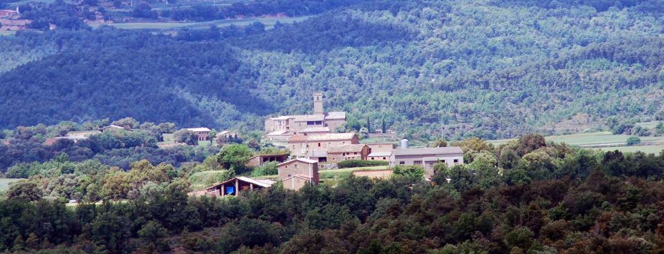 29 de Maig de 2016   Sant Just d'Ardèvol -  Ramon Sunyer