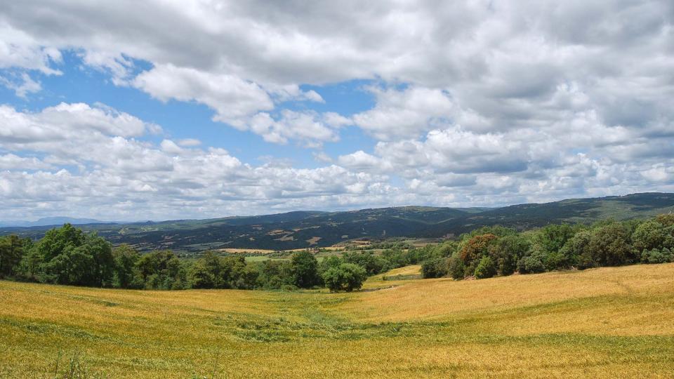 29 de Maig de 2016   Sant Serni -  Ramon Sunyer