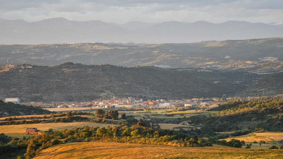 29 de Maig de 2016   Torà -  Ramon Sunyer