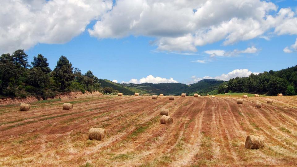 29 de Maig de 2016   Pinós -  Ramon Sunyer