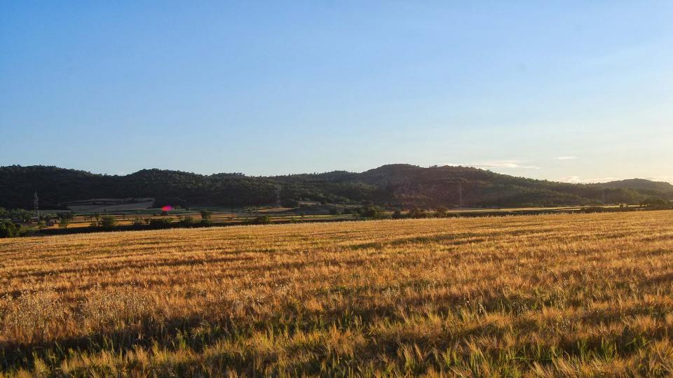 29 de Maig de 2016   Torà -  Ramon Sunyer