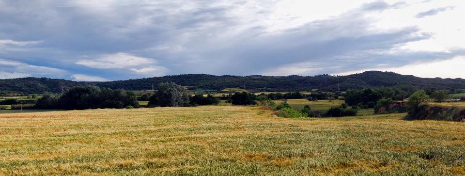 22 de Maig de 2016   Torà -  Ramon Sunyer