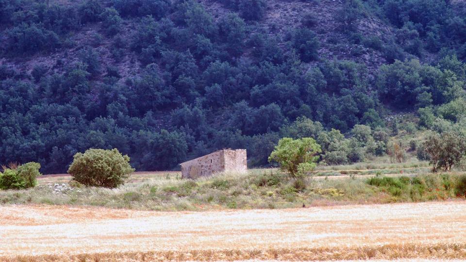 5 de Juny de 2016 cabana  Torà -  Ramon Sunyer