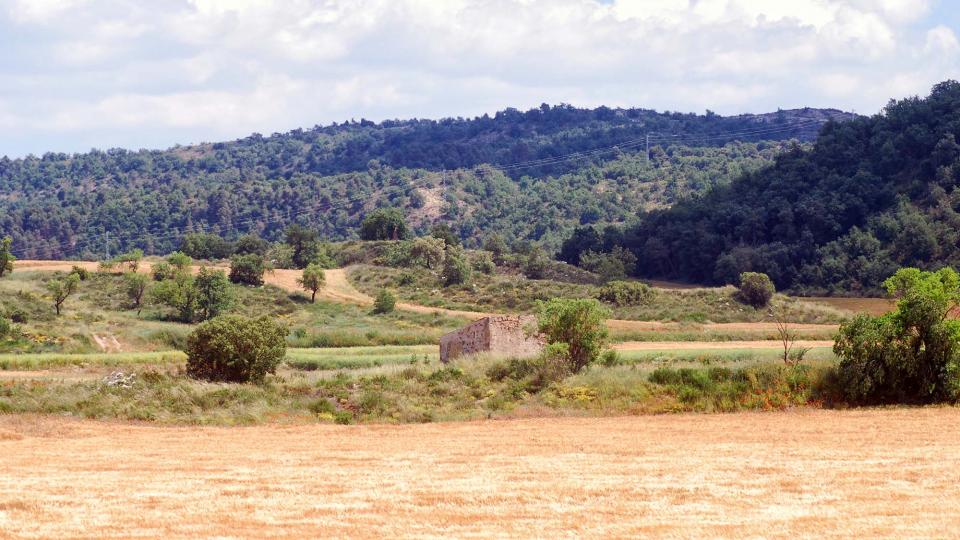 5 de Juny de 2016 cabana  Torà -  Ramon Sunyer