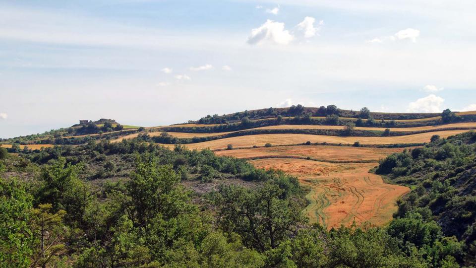 5 de Juny de 2016 Els Murinyols  Torà -  Ramon Sunyer