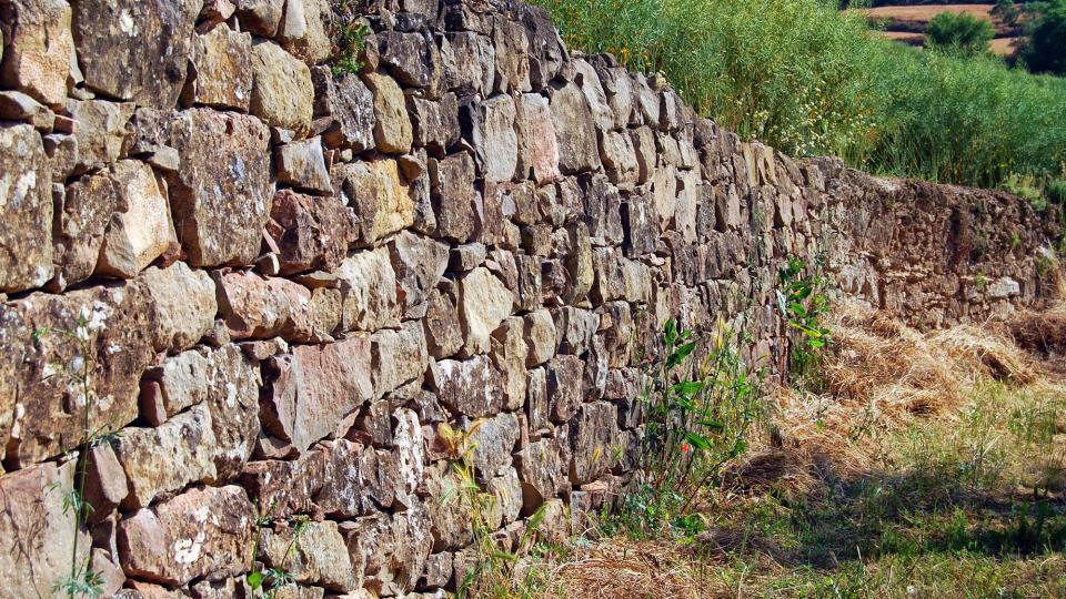 5 de Juny de 2016 pared de pedra seca a les Torrovelles  Torà -  Ramon Sunyer