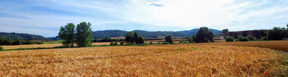 5 de Juny de 2016   Torà -  Ramon Sunyer