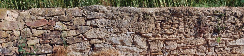 5 de Juny de 2016 pared de pedra seca  Torà -  Ramon Sunyer