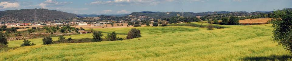 5 de Juny de 2016 Torrovelles  Torà -  Ramon Sunyer