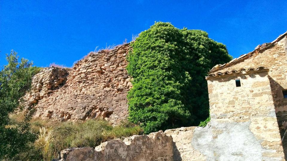 19 de Juny de 2016 castell  Cellers -  Ramon Sunyer