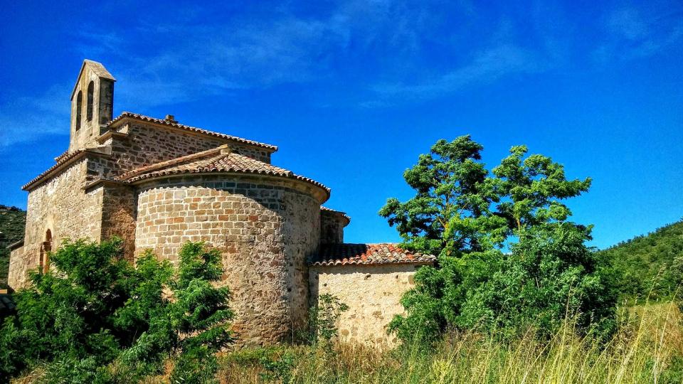 19 de Juny de 2016 Monestir Sant Celdoni i Sant Ermenter  Cellers -  Ramon Sunyer